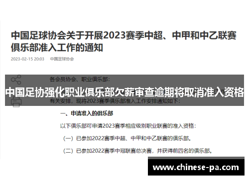 中国足协强化职业俱乐部欠薪审查逾期将取消准入资格 中国足协强化职业俱乐部欠薪审查逾期将取消准入资格