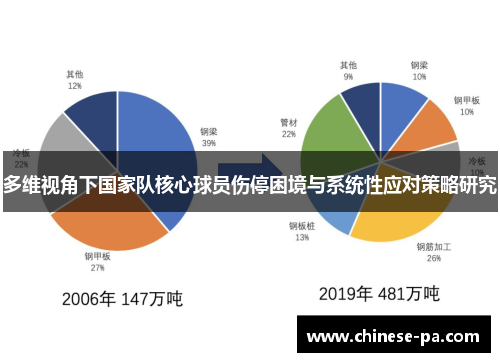 多维视角下国家队核心球员伤停困境与系统性应对策略研究