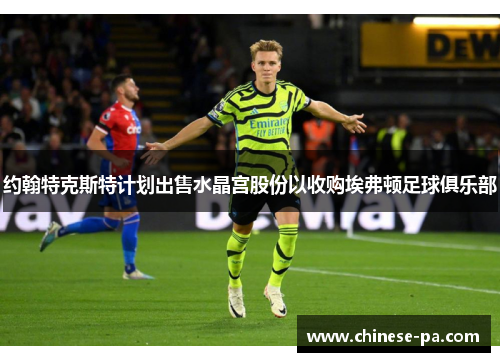 约翰特克斯特计划出售水晶宫股份以收购埃弗顿足球俱乐部